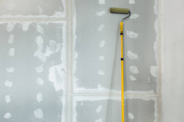 Best Mold Odor Removal Services  in Pheasant Run, OH