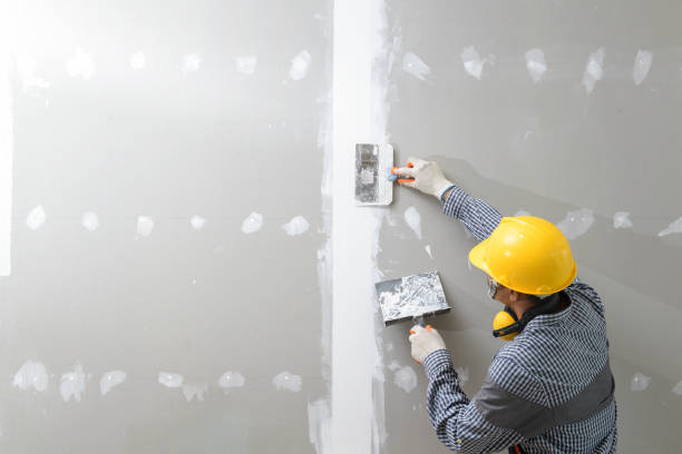 Best Real Estate Mold Inspection  in Pheasant Run, OH