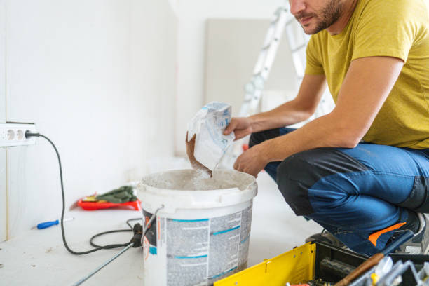 Best Basement Mold Removal  in Pheasant Run, OH