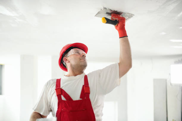 Best Mold Remediation for Healthcare Facilities  in Pheasant Run, OH