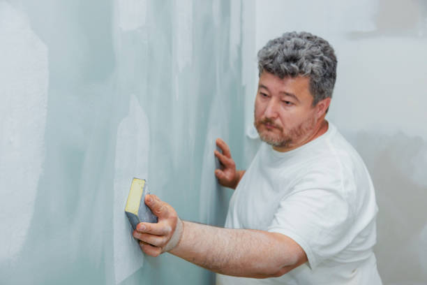 Best Basement Mold Removal  in Pheasant Run, OH