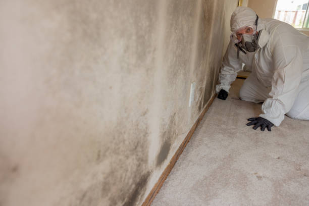 Best Crawl Space Mold Remediation  in Pheasant Run, OH