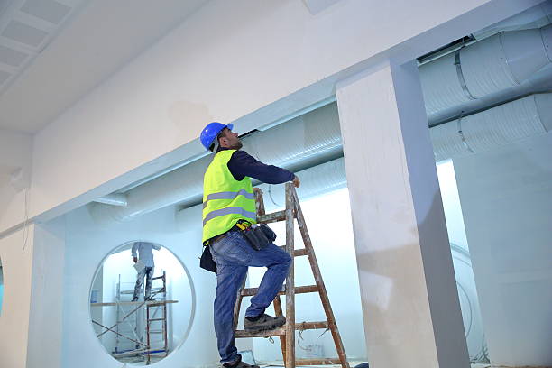 Best Water Damage & Mold Remediation  in Pheasant Run, OH