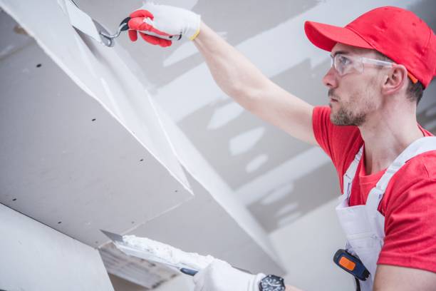 Reliable Pheasant Run, OH Mold Removal Solutions