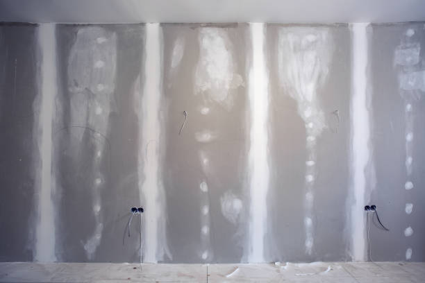 Best Post-Construction Mold Inspection  in Pheasant Run, OH